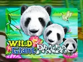 Wild Giant Panda game thumbnail